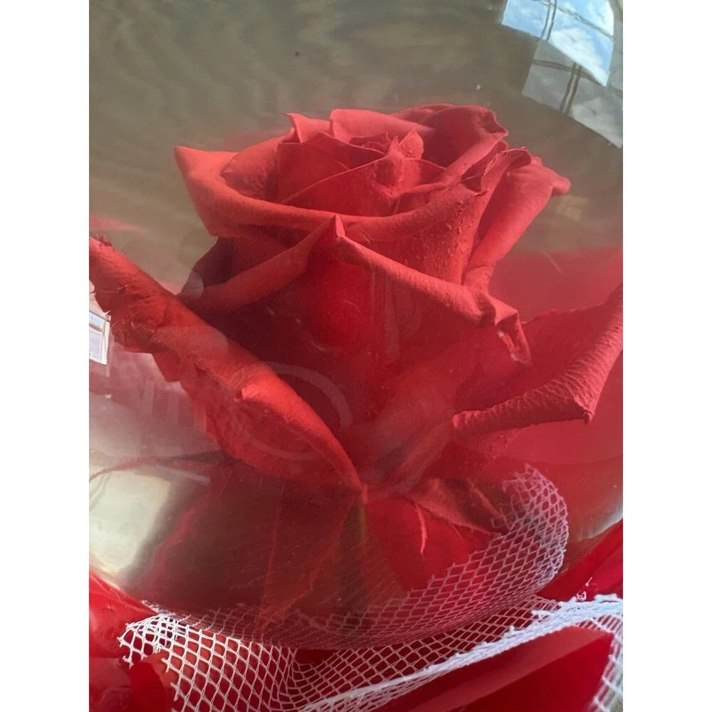 Vintage  Forever Red Rose In Glass Ball Clear Water Dome Globe Large 6.5